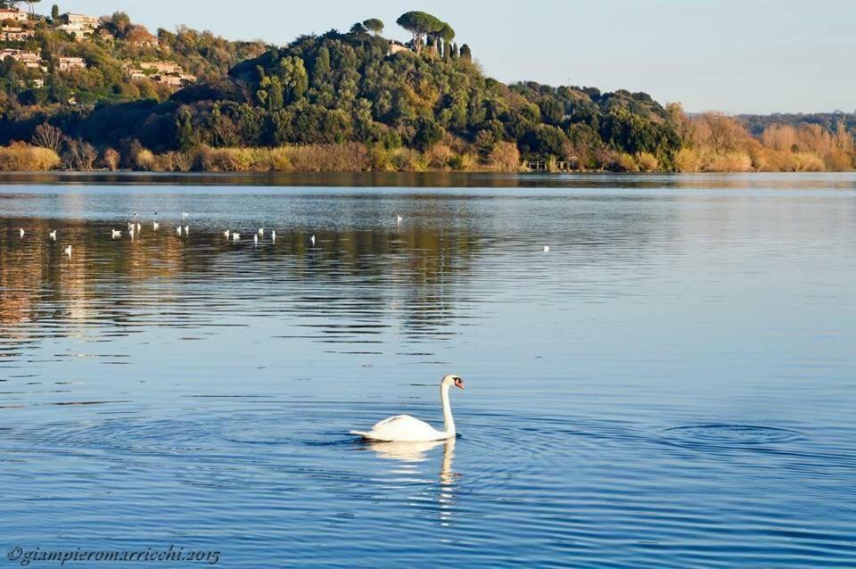 Pepe Apartment -Lago Di Bracciano Trevignano Romano Zewnętrze zdjęcie